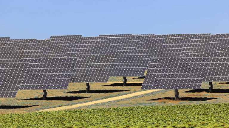 Lee más sobre el artículo Ventajas de instalar paneles solares en tu empresa