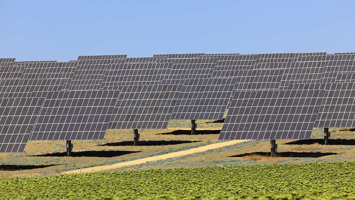 En este momento estás viendo Ventajas de instalar paneles solares en tu empresa